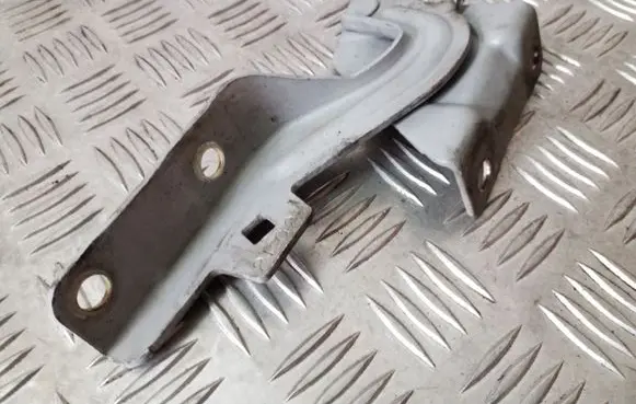 Mitsubishi Grandis Engine bonnet/hood hinges