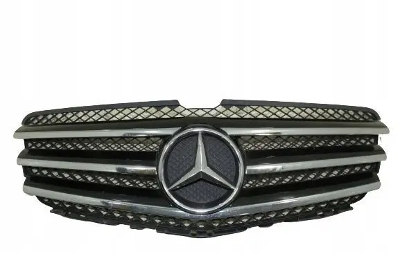 Mercedes-Benz R W251 Front bumper upper radiator grill A2518880060