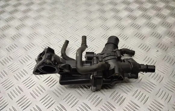 Thermostat/thermostat housing