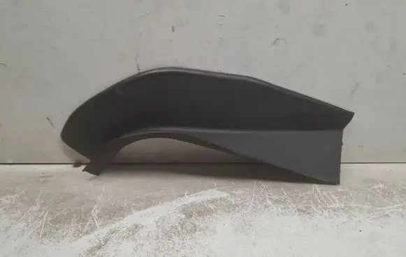 Rear/tail light trim molding