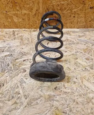 Rear coil spring