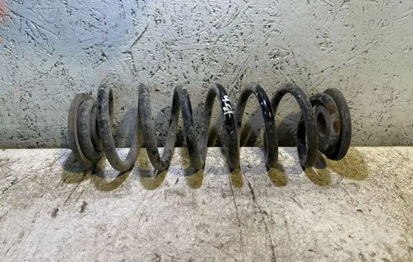 Volkswagen PASSAT B6 Rear coil spring
