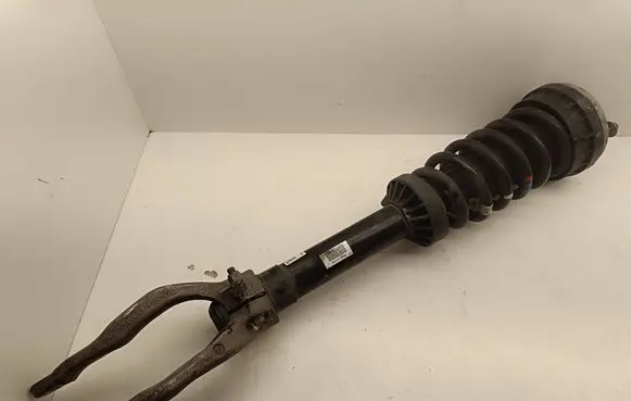 Jaguar F-Pace Front shock absorber with coil spring HK8318B037GG