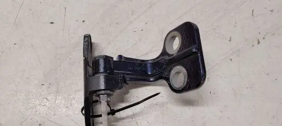Rear door lower hinge
