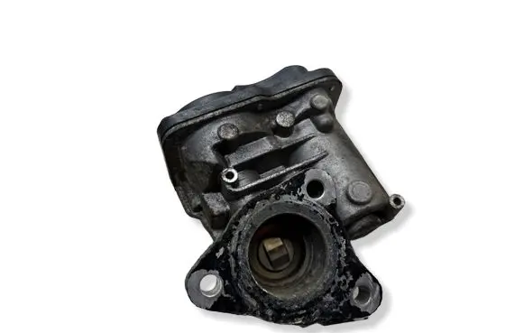Renault Scenic III - Grand scenic III EGR valve H8201143495