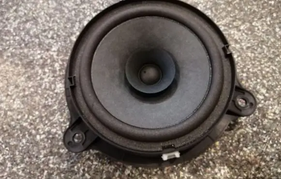 Nissan Leaf I (ZE0) Front door speaker