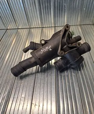 Thermostat/thermostat housing