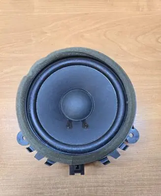Rear door speaker