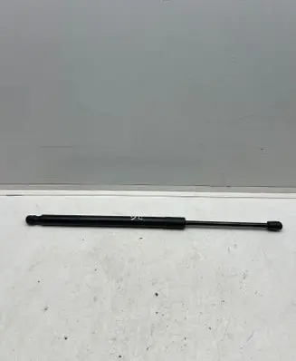 Tailgate/trunk strut/damper
