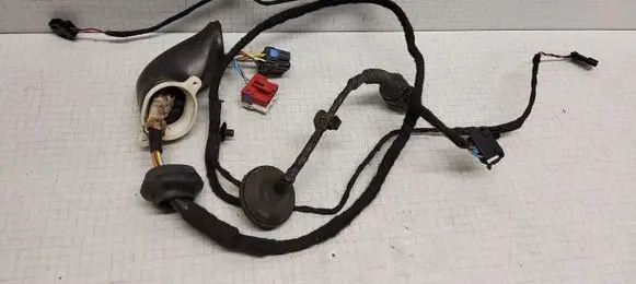 Volkswagen PASSAT B5.5 Rear door wiring loom