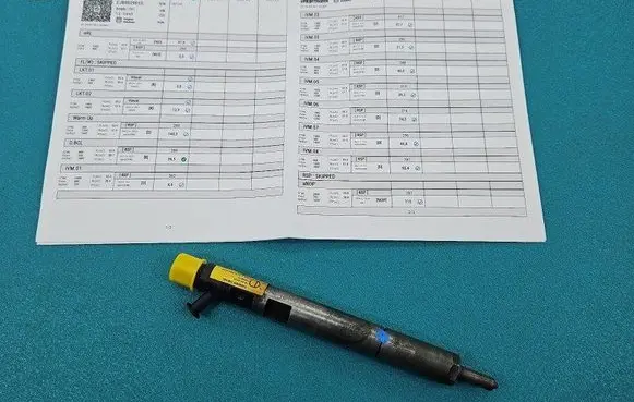 Hyundai Terracan Fuel injector EJBR02901D IMPRK1461143