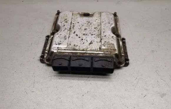 Renault Laguna II Engine control unit/module 0281011101 8200095416