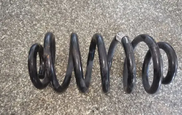 Buick Encore I Rear coil spring 95174968