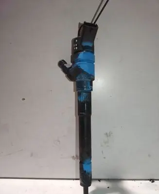Hyundai Santa Fe Fuel injector 0445110254