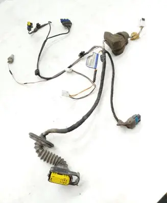 Rear door wiring loom