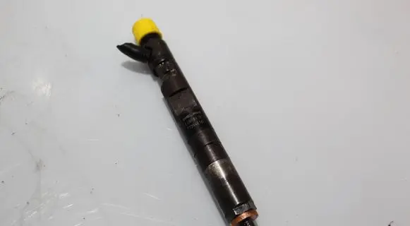 Renault Thalia I Fuel injector EJBR041010