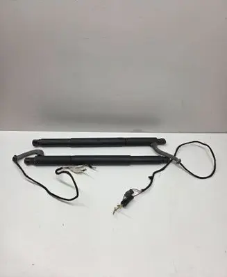 BMW X6 E71 Tailgate/trunk strut/damper 7188490