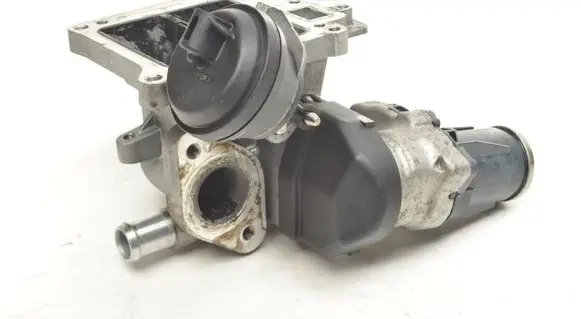 EGR valve