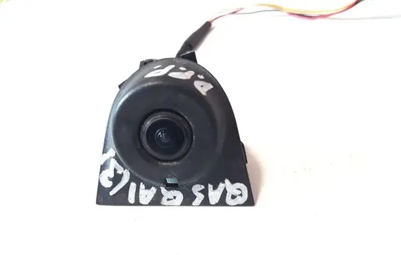 Nissan Qashqai Wing mirror camera 3004194