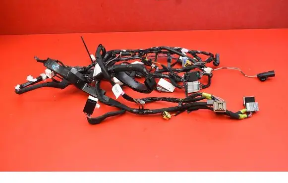 Other wiring loom