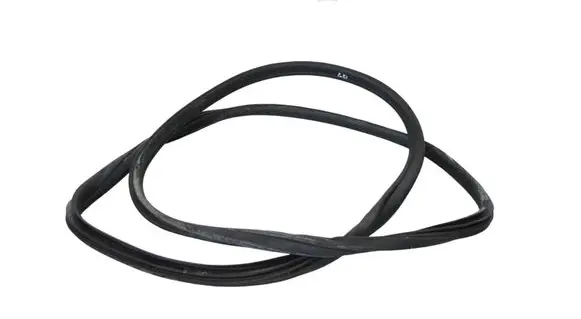 Mini Cooper Countryman R60 Rubber seal rear door 9808549