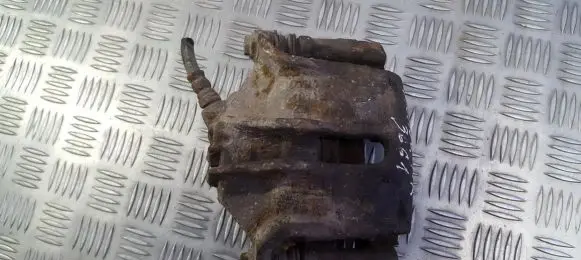 Citroen Xsara Picasso Front brake caliper