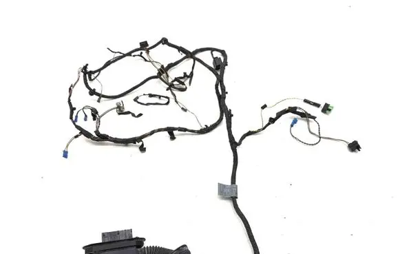 BMW 5 F10 F11 Front door wiring loom 9219480 9219481