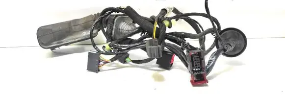 Front door wiring loom