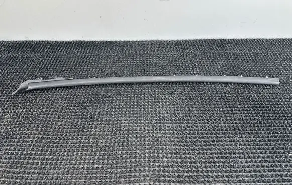 Renault Scenic IV - Grand scenic IV Rubber seal front door (on door)