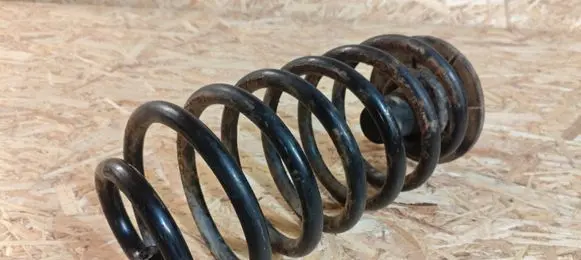 Rear coil spring