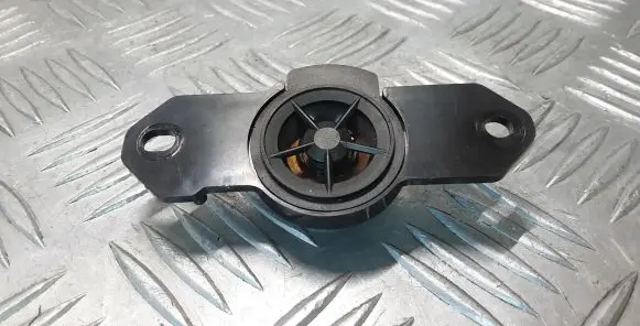 Front door high frequency speaker