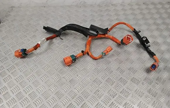 Ford Mach-E I Other wiring loom LJ9814B323AD