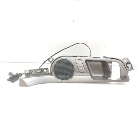 Front door high frequency speaker