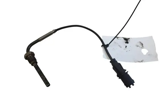 Opel Insignia A Exhaust gas temperature sensor 55566185