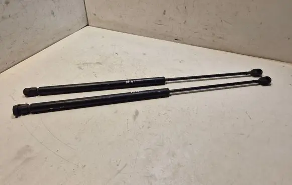 Front bonnet/hood damper/strut