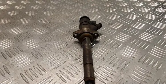 Citroen Berlingo Fuel injector 0445110311