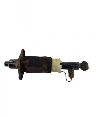 Audi A6 S6 C5 4B Rear shock absorber/damper 4B0616020C