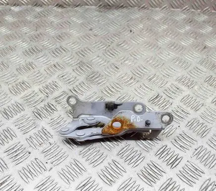 Hyundai Sonata Engine bonnet/hood hinges