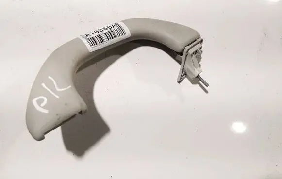 Front interior roof grab handle