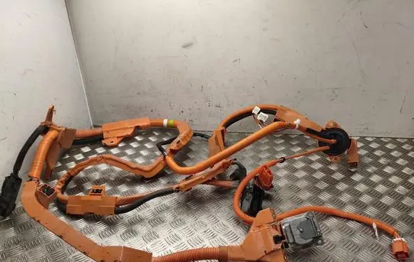 Toyota Prius (XV60) Other wiring loom 821H147150