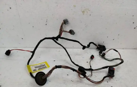 Rear door wiring loom