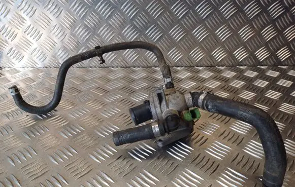 Thermostat/thermostat housing