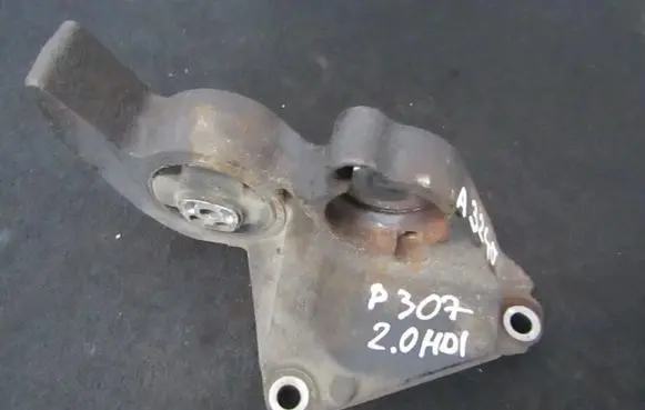 Peugeot 307 Engine mounting bracket 9639592380
