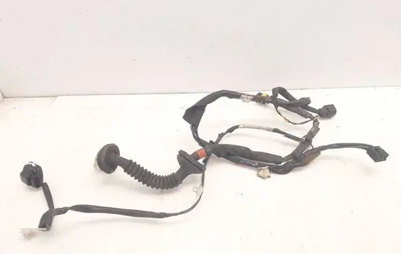 Toyota Avensis T220 Rear door wiring loom