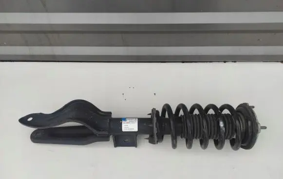 Tesla Model 3 Rear shock absorber with coil spring 104436300F