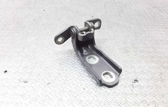 Rear door lower hinge