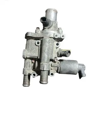 Thermostat/thermostat housing