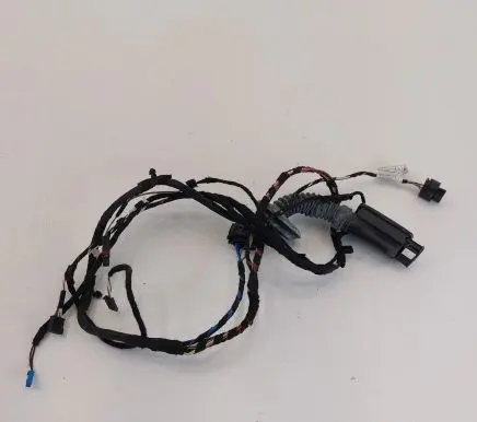 Rear door wiring loom