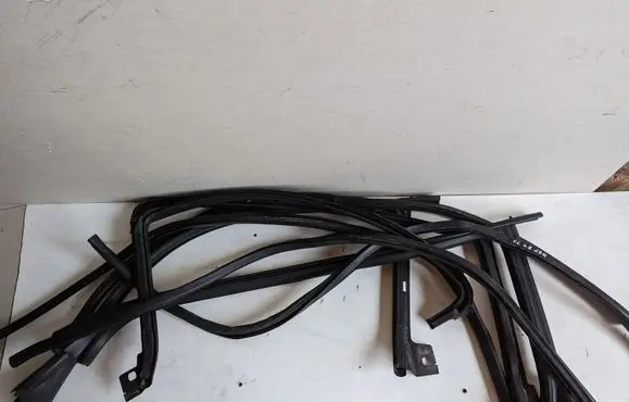 Volkswagen PASSAT CC Front door rubber seal