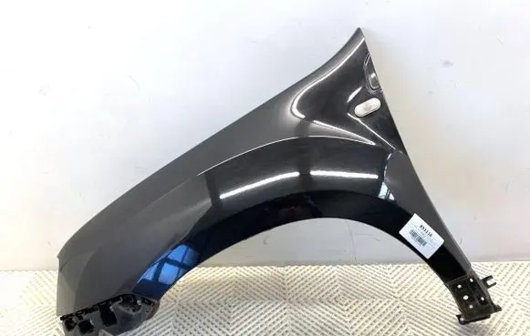 Dacia Duster II Fender 
